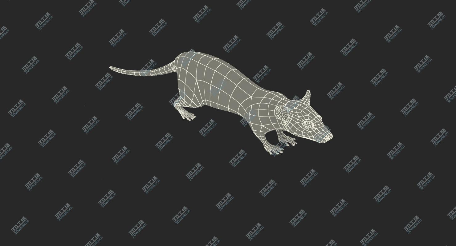 images/goods_img/2021040234/3D Rat Rigged/5.jpg